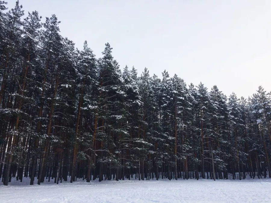 Лыжная база Олень в Нижнем Новгороде: Каток, Лед, Снег, Лыжи, Сноуборд, Зимний спорт, Зима, Зимнийкостюм,