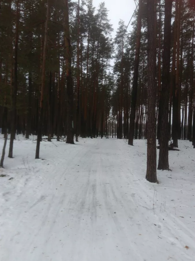 Лыжная база Олень в Нижнем Новгороде: Каток, Лед, Снег, Лыжи, Сноуборд, Зимний спорт, Зима, Зимнийкостюм,