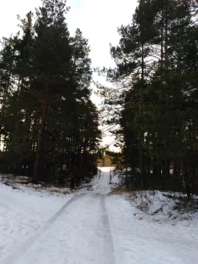 Лыжная база "Олень"