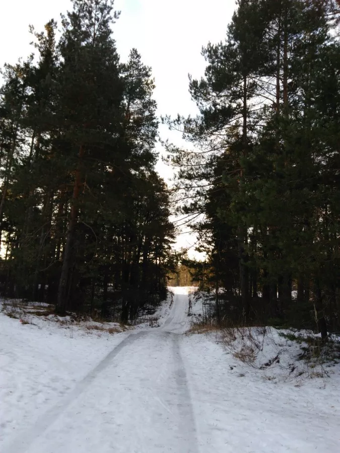 Лыжная база Олень в Нижнем Новгороде: Каток, Лед, Снег, Лыжи, Сноуборд, Зимний спорт, Зима, Зимнийкостюм,