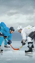Миниатюра 3