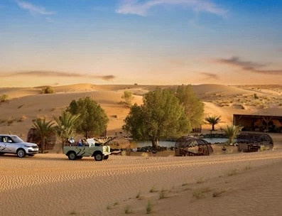 Сафари с Platinum Heritage в Дубаи: Camel, Desert , Trip , Travelling , Пора отдыхать, Трип, Пустыня , Верблюд , Экскурсия,