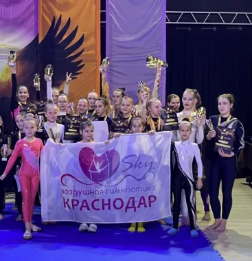 ​Студия художественной и воздушной гимнастики "Sky"