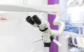 Миниатюра 8