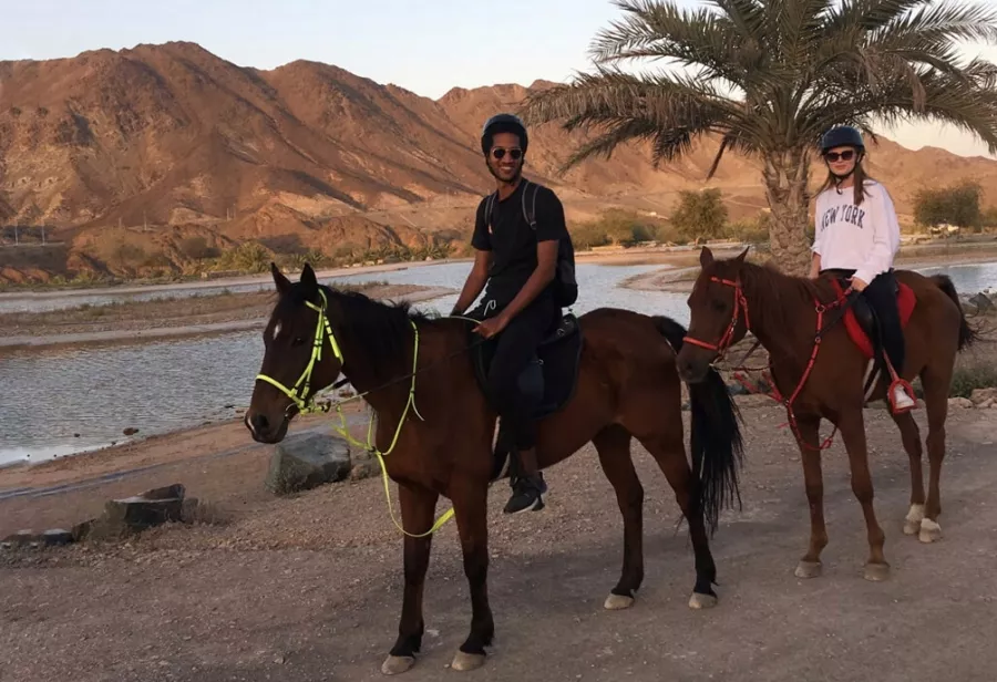Конные прогулки Hatta Horses  в  Дубаи