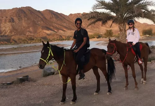 Конные прогулки Hatta Horses в Дубаи
