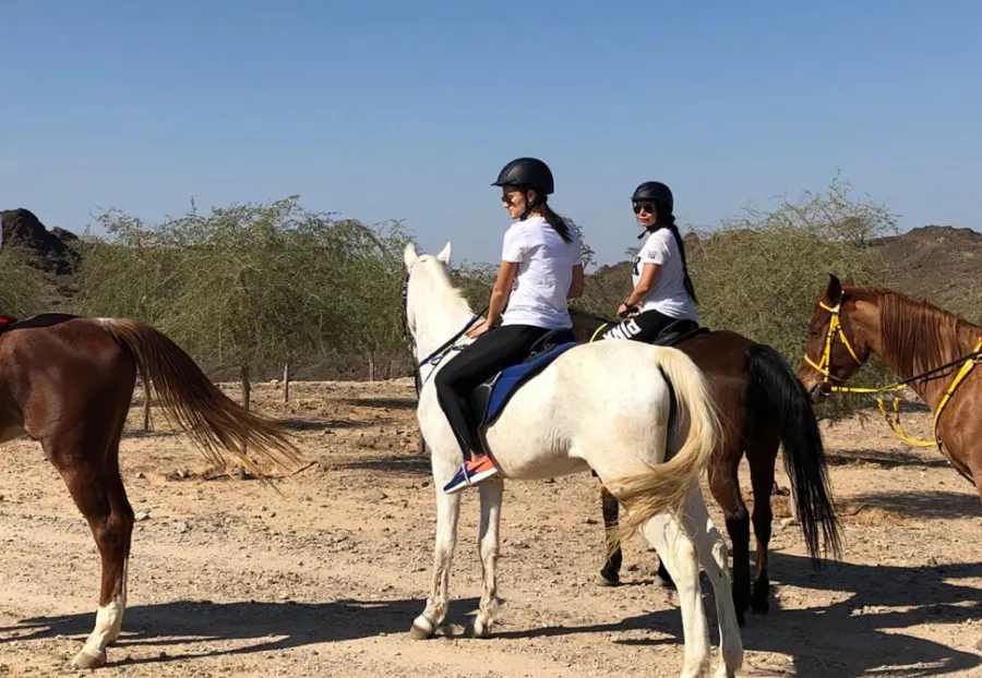Конные прогулки Hatta Horses в Дубаи: Trip , Travelling , Horse, Horses 🐎 , Hatta, Лошади, Экскурсии, Пора отдыхать, Пейзаж , Что посетить , Конные прогулки ,