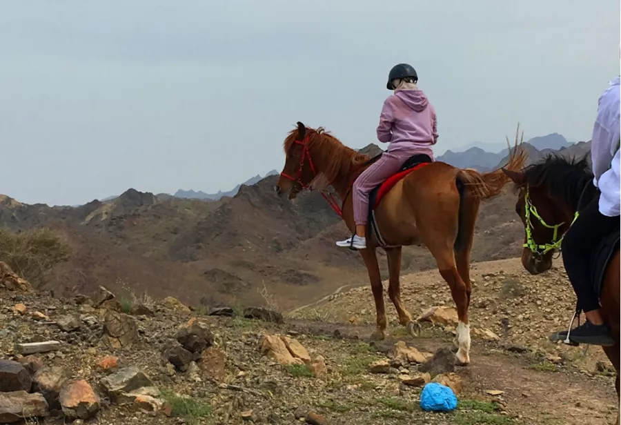 Конные прогулки Hatta Horses в Дубаи: Trip , Travelling , Horse, Horses 🐎 , Hatta, Лошади, Экскурсии, Пора отдыхать, Пейзаж , Что посетить , Конные прогулки ,