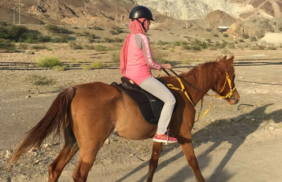 Конные прогулки Hatta Horses в Дубаи: Trip , Travelling , Horse, Horses 🐎 , Hatta, Лошади, Экскурсии, Пора отдыхать, Пейзаж , Что посетить , Конные прогулки ,