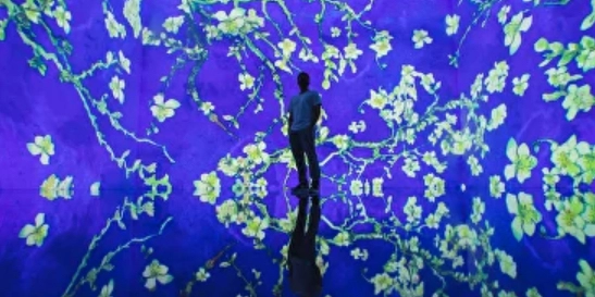 Представление-театр цифрового искусства Theatre of Digital Art в Дубаи: Theatre , Show, Digital Art , Adventure , Зрелища, Театр, Представление, Экскурсия,