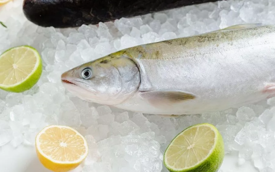 Магазин морепродуктов Старик и море в Москве: Покушать, Морепродукты, Рыба, Продуктовый, Икорный магазин, Фишмаркет, Банные закуски,