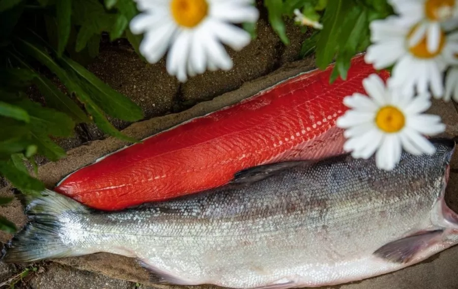 Магазин морепродуктов Старик и море в Москве: Покушать, Морепродукты, Рыба, Продуктовый, Икорный магазин, Фишмаркет, Банные закуски,