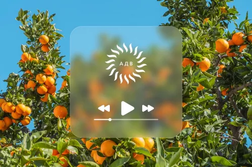 Рекламное агентство АДВ  в  Москве
