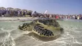 Миниатюра 4