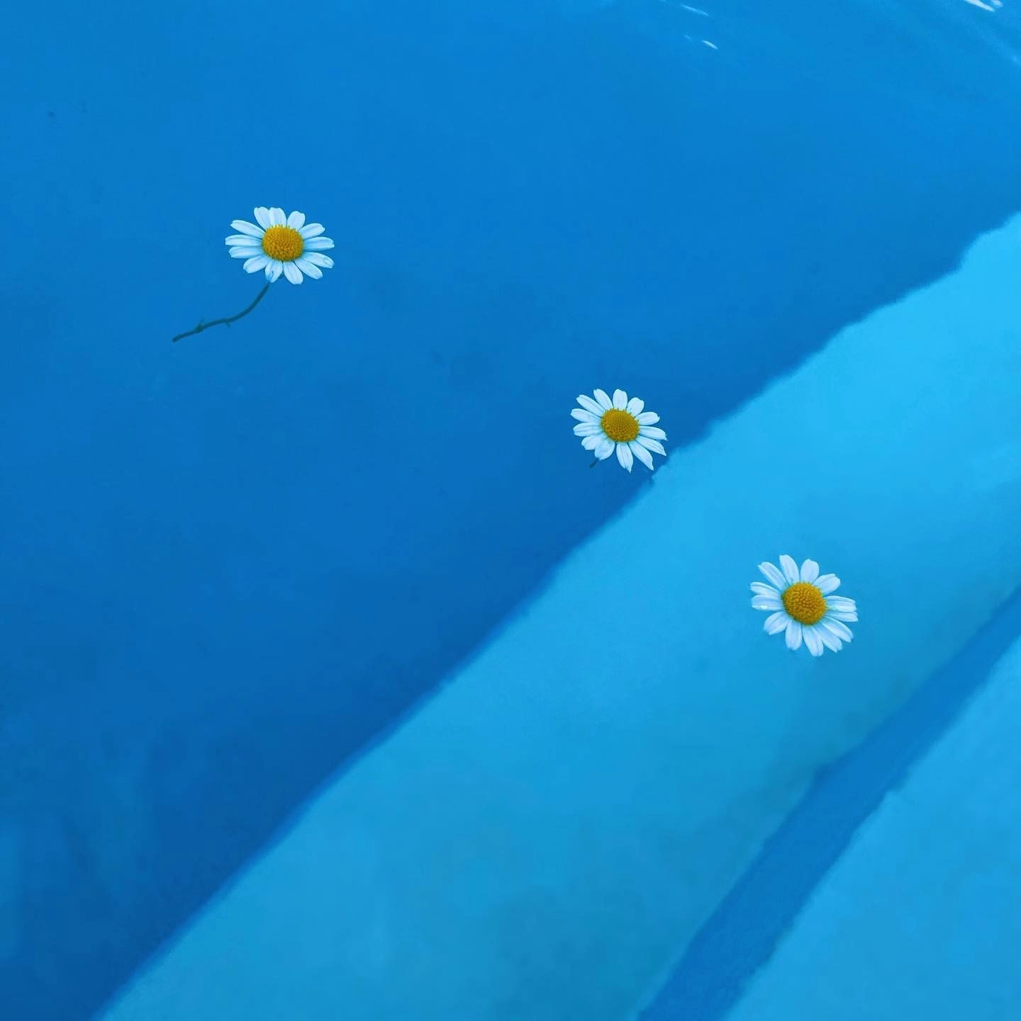 Бассейн "Lazur"