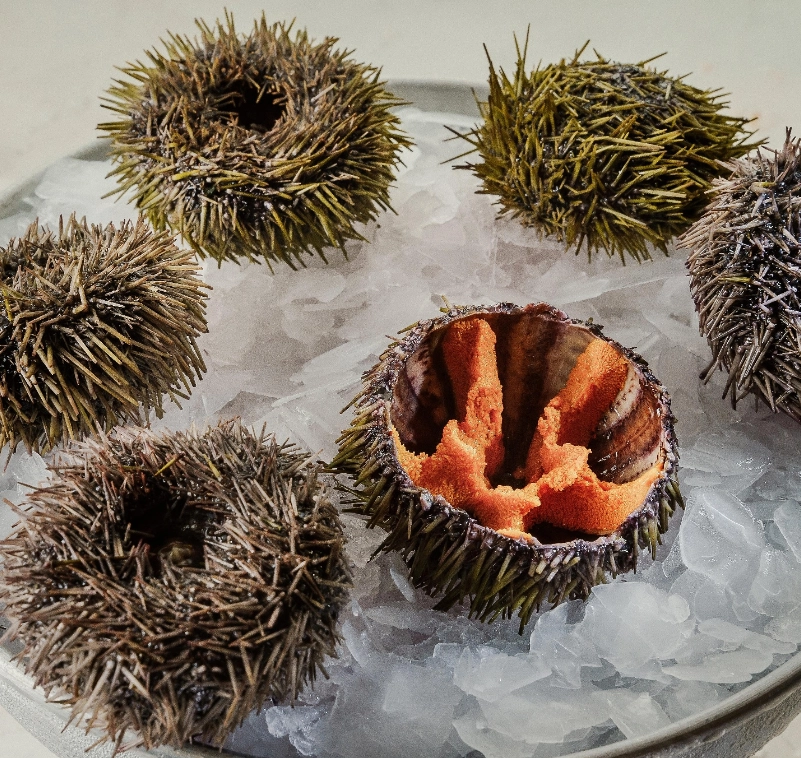 Магазин Моремания на Житной в Москве: Еда, Азиатская кухня, Рыба, Морепродукты, Кулинария,