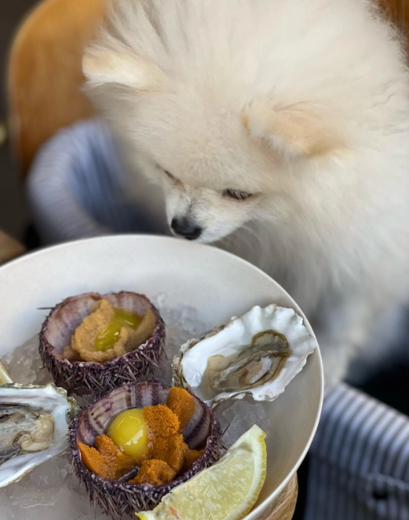 Магазин Сокровища морей на Лесной в Москве: Еда, Морепродукты, Рыба,