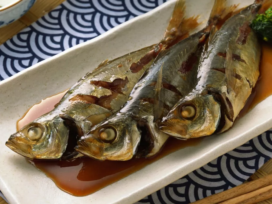 Магазин Сокровища морей на Лесной в Москве: Еда, Морепродукты, Рыба,