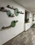 Миниатюра 4