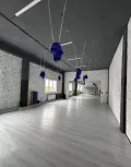 Миниатюра 7