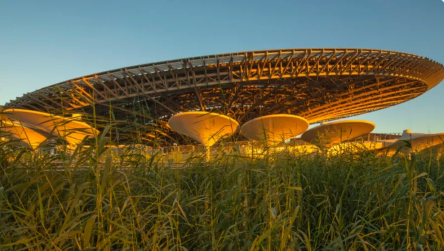 Площадь Al Wasl Plaza в сердце района Expo City в Дубаи: City Future , City Highlights, Что посетить, Туристам, Экскурсии, Tourists , Expo City, Visiting , Al Wasl Plaza,