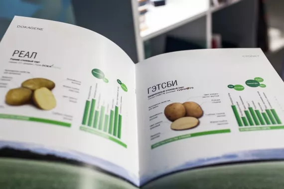 Типография "Online CityPrint" на Большом