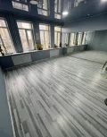 Миниатюра 7