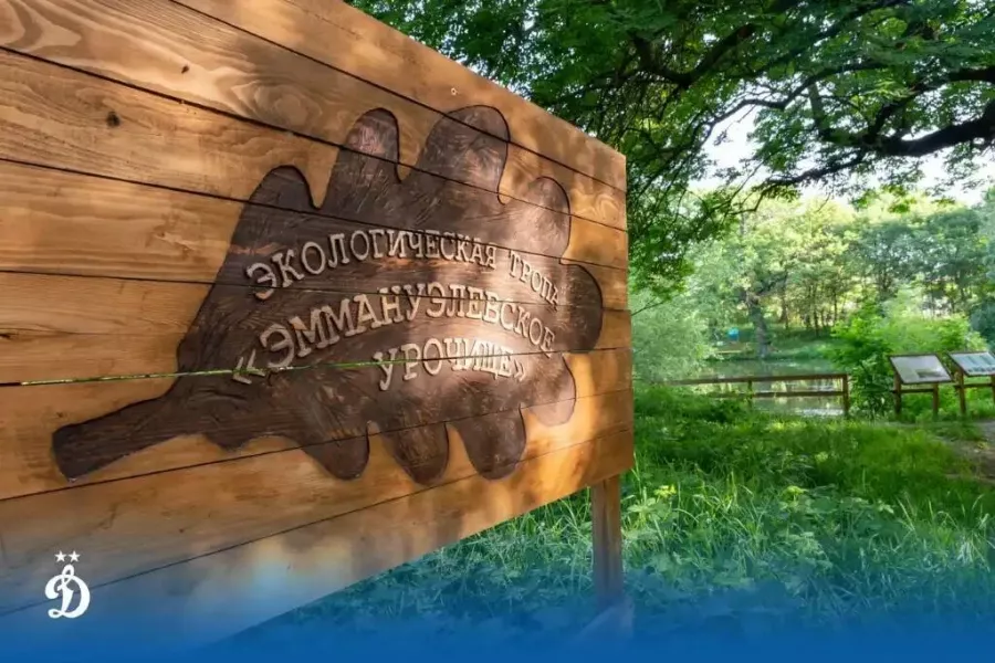 Отель Динамо в Ставрополе: Отдых, Отель, Релакс, Отпуск, Туризм, Путешествие,