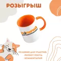 Миниатюра 3