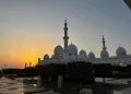 Миниатюра 10