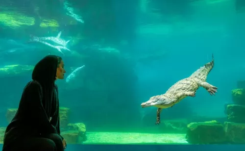 Парк крокодилов Crocodile Park  в  Дубаи