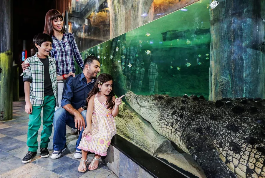 Парк крокодилов Crocodile Park в Дубаи: Crocodile Park, Crocodile, Aquarium , Tourists , Animals , Что посетить , Крокодил 🐊 , Парк Крокодилов , Туристам,