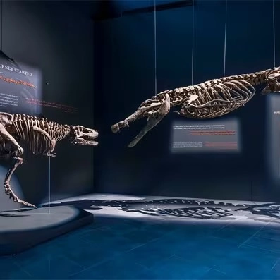 Парк крокодилов Crocodile Park в Дубаи: Crocodile Park, Crocodile, Aquarium , Tourists , Animals , Что посетить , Крокодил 🐊 , Парк Крокодилов , Туристам,