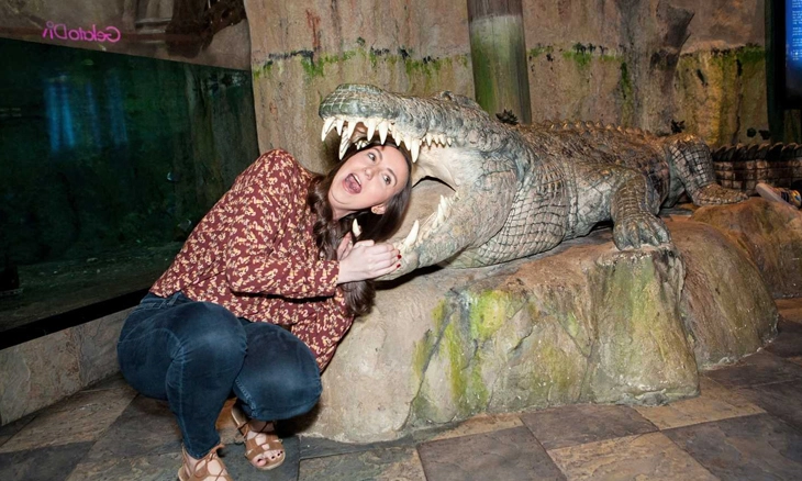 Парк крокодилов Crocodile Park в Дубаи: Crocodile Park, Crocodile, Aquarium , Tourists , Animals , Что посетить , Крокодил 🐊 , Парк Крокодилов , Туристам,