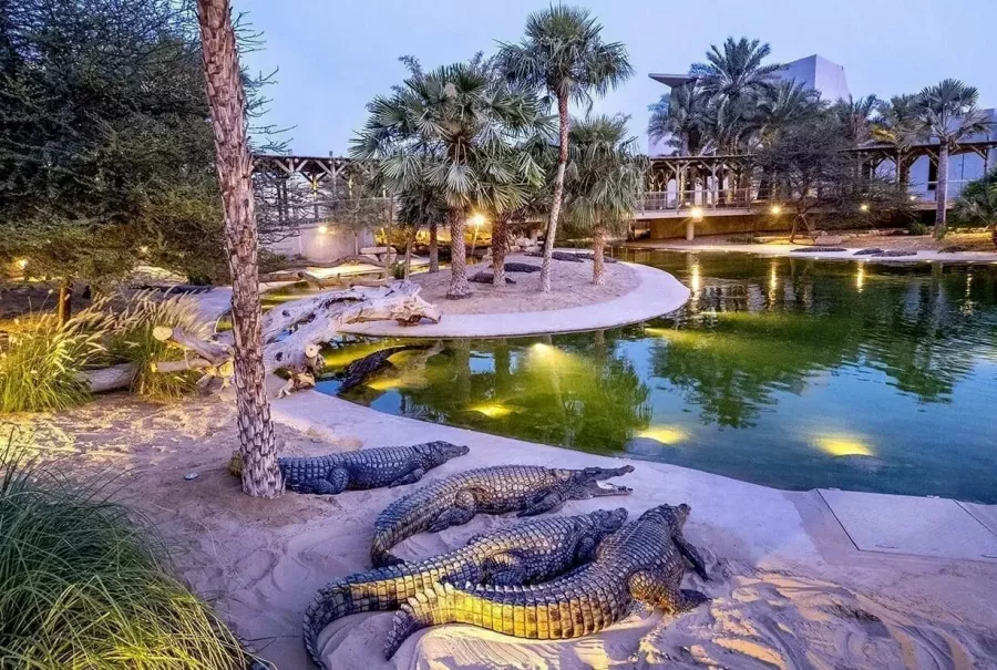 Парк крокодилов Crocodile Park в Дубаи: Crocodile Park, Crocodile, Aquarium , Tourists , Animals , Что посетить , Крокодил 🐊 , Парк Крокодилов , Туристам,