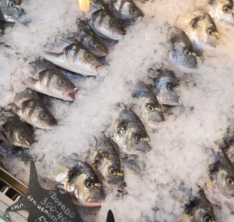 Магазин Моремания на Международной в Москве: Еда, Азиатская кухня, Рыба, Морепродукты, Кулинария,