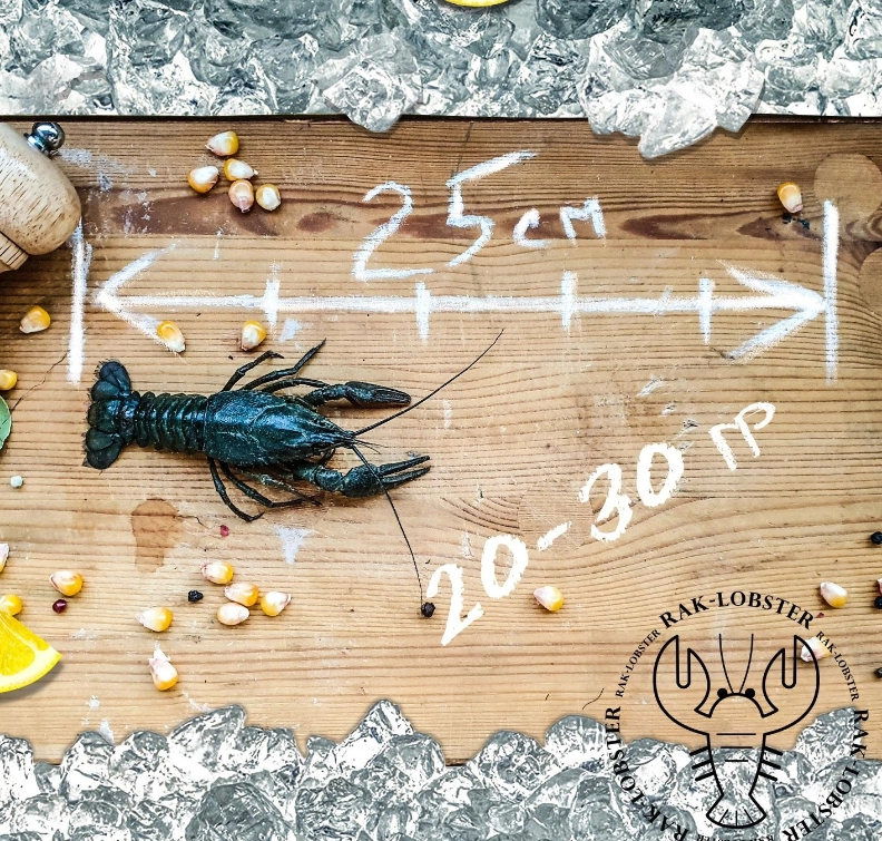 Раковарня Рак & лобстер в Москве: Раки, Морепродукты, Рыба, Фишмаркет, Деликатесы, Кулинария, Банные закуски,