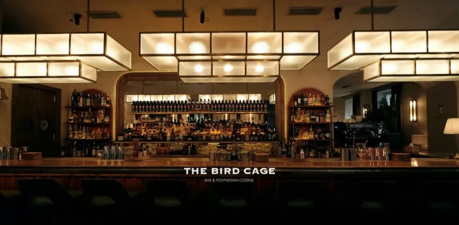 Бар The Bird Cage в Ереване: Алкоголь, Азиатская кухня, Коктейли, Потанцевать, Отдохнуть вечером, Для свиданий,