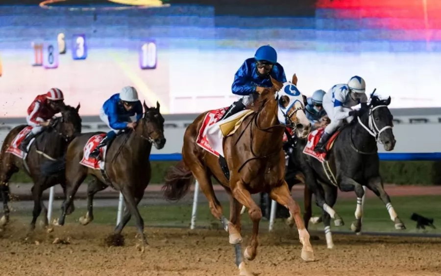Ипподром Meydan Racecourse в Дубаи: Ипподром , Лошади , Скачки, Конные скачки , Horses, The racetrack,