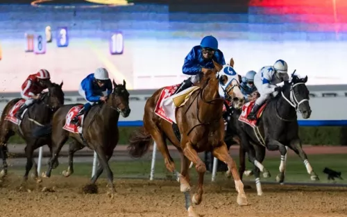 Ипподром Meydan Racecourse  в  Дубаи