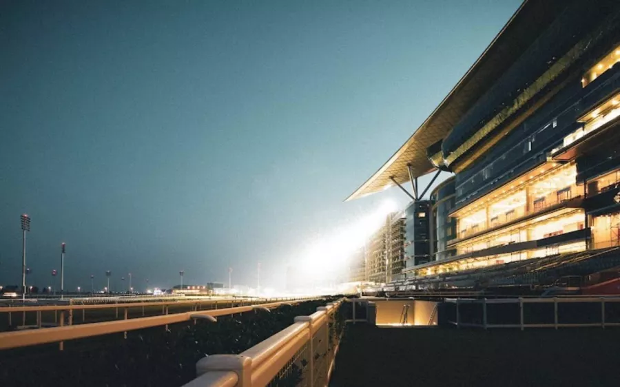 Ипподром Meydan Racecourse в Дубаи: Ипподром , Лошади , Скачки, Конные скачки , Horses, The racetrack,