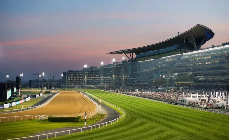 Ипподром Meydan Racecourse в Дубаи: Ипподром , Лошади , Скачки, Конные скачки , Horses, The racetrack,