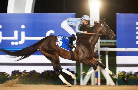 Ипподром «Meydan Racecourse»
