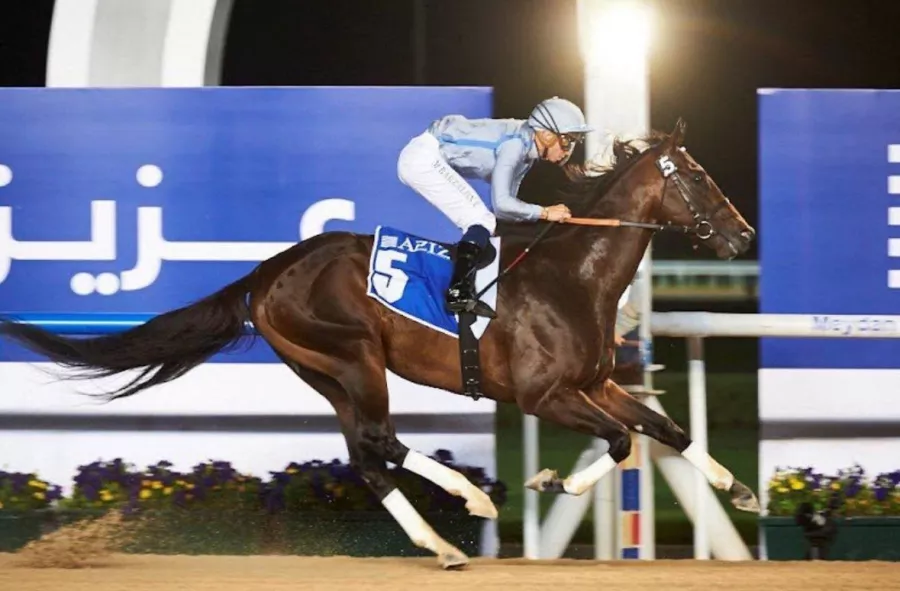 Ипподром Meydan Racecourse в Дубаи: Ипподром , Лошади , Скачки, Конные скачки , Horses, The racetrack,
