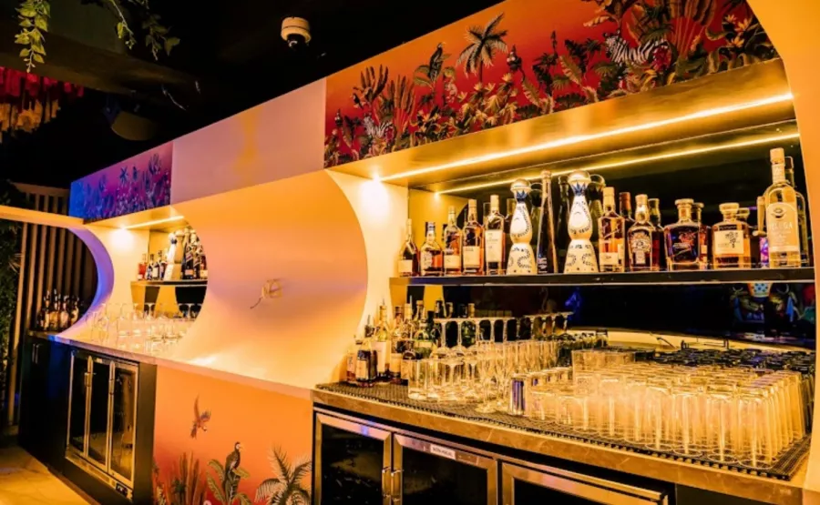 Лаунж Penthouse в Дубаи: Клуб, Танцы , Вечеринка, Дискотека 🪩 , Night Club , Club, Лаунж, Ночной клуб,