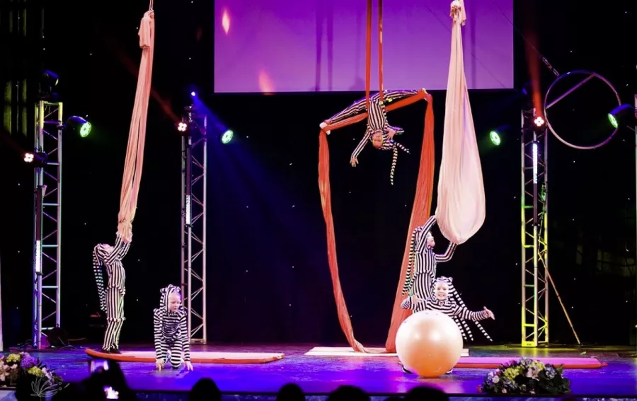 Студия танца, спорта и йоги You в Перми: Развитие, Фитнес, Хатха, Брейк-данс, Танцы,