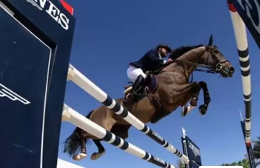 Клуб верховой езды Jebel Ali Equestrian Club в Дубаи: Horses, Horse 🐎 , Jebel Ali, Лошади, Конные скачки , Скачки, Конные прогулки , Ипподром ,