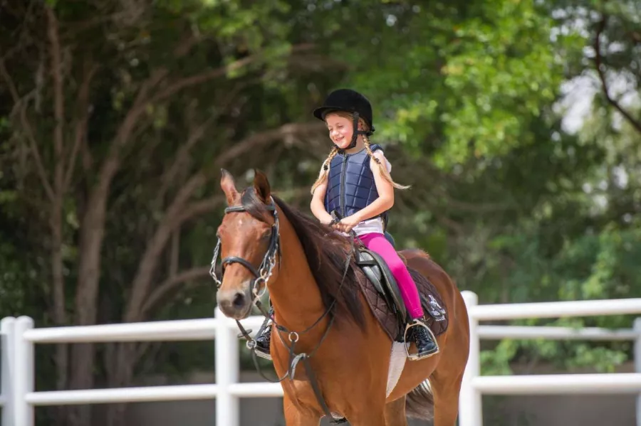 Клуб верховой езды Jebel Ali Equestrian Club в Дубаи: Horses, Horse 🐎 , Jebel Ali, Лошади, Конные скачки , Скачки, Конные прогулки , Ипподром ,