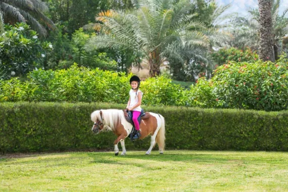 Клуб верховой езды “Jebel Ali Equestrian Club”