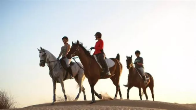 Клуб верховой езды “Jebel Ali Equestrian Club”